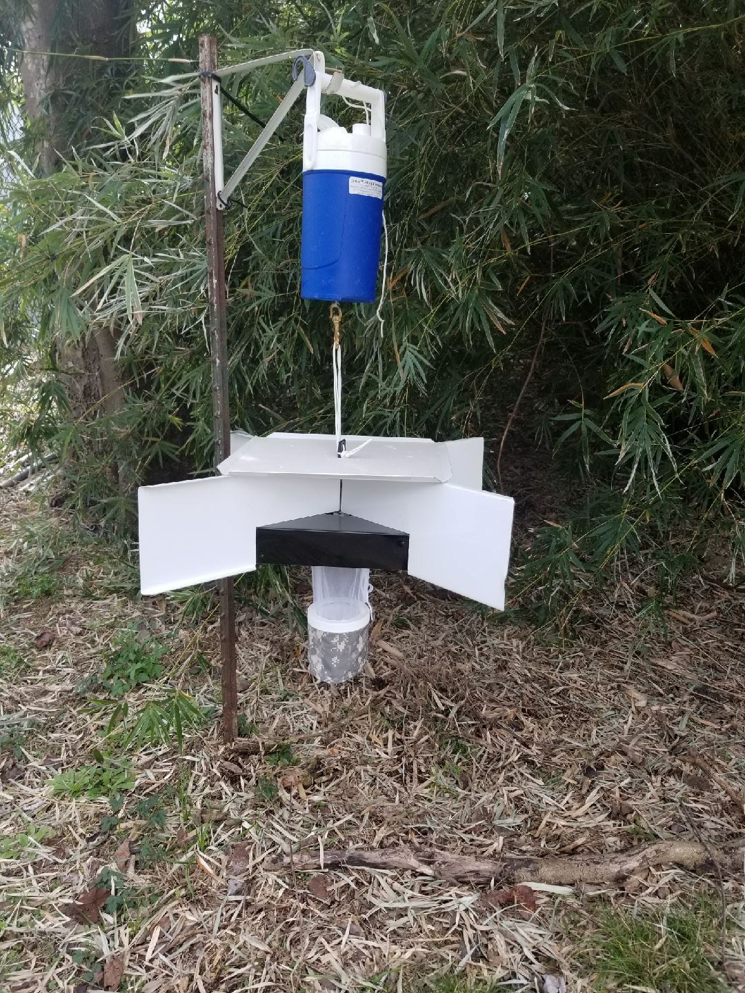 Omni Directional Trap